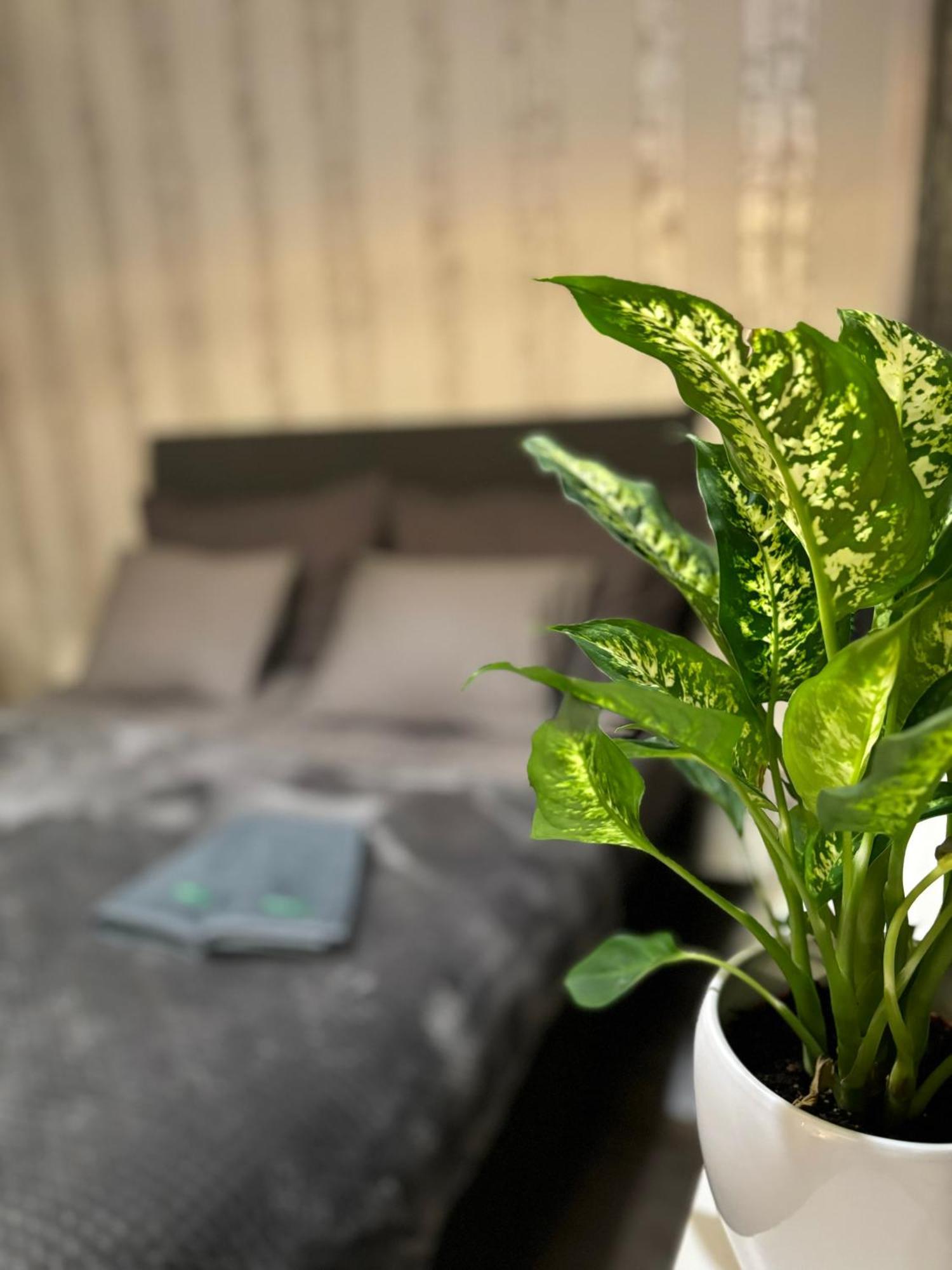 Vartiomaja - Beautiful Apartment Near Arktikum 로바니에미 외부 사진